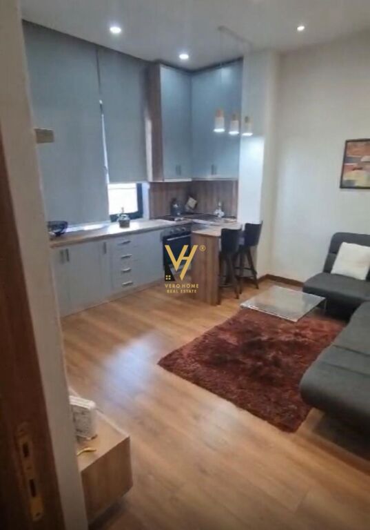 JEPET APARTAMENT 1+1 ME QERA TE 9 KATESHET 600 EURO