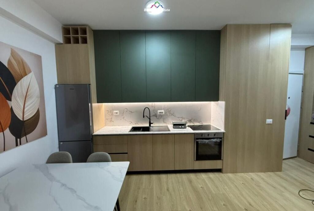 Apartment for Rent 1+1 at Ali Demi (ID B2101580) Tirana