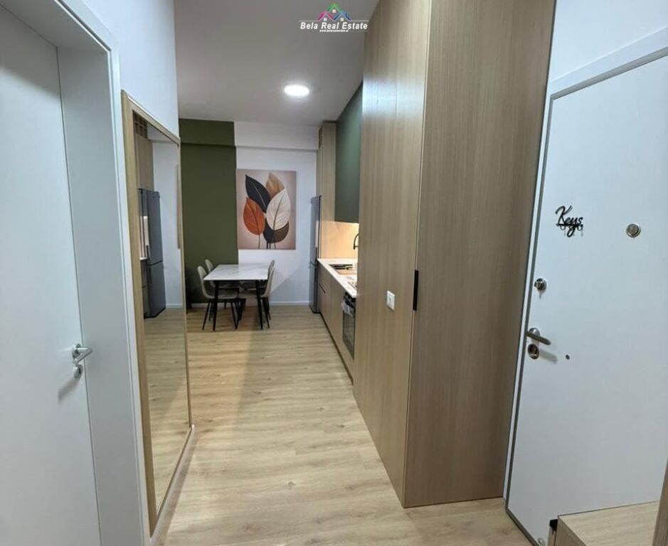 Apartment for Rent 1+1 at Ali Demi (ID B2101580) Tirana