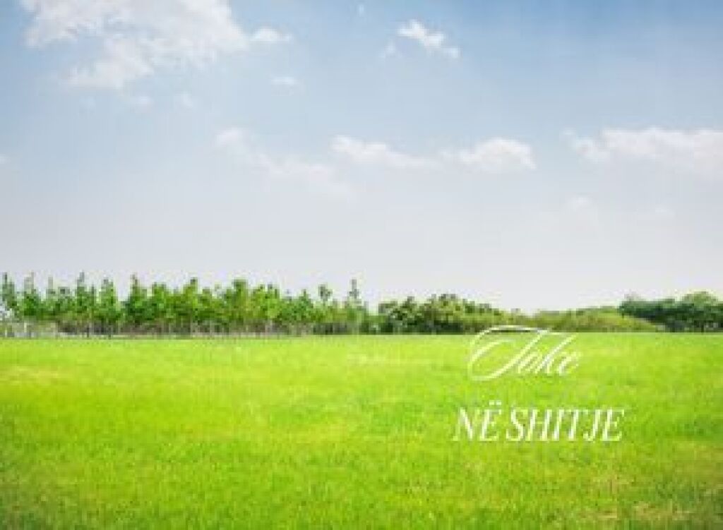 TERRENO IN VENDITA A FARKE 5750 M2