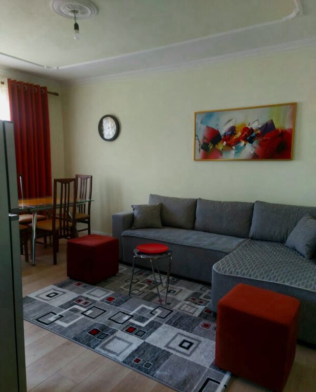 Jepet  Apartament 1+1 me qira – Ali Demi !