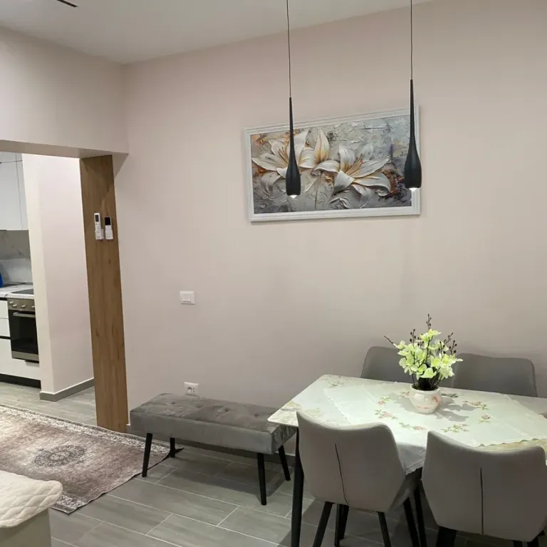 Apartment 1+1 for rent at (Pireu Restaurant) Elbasan Street
