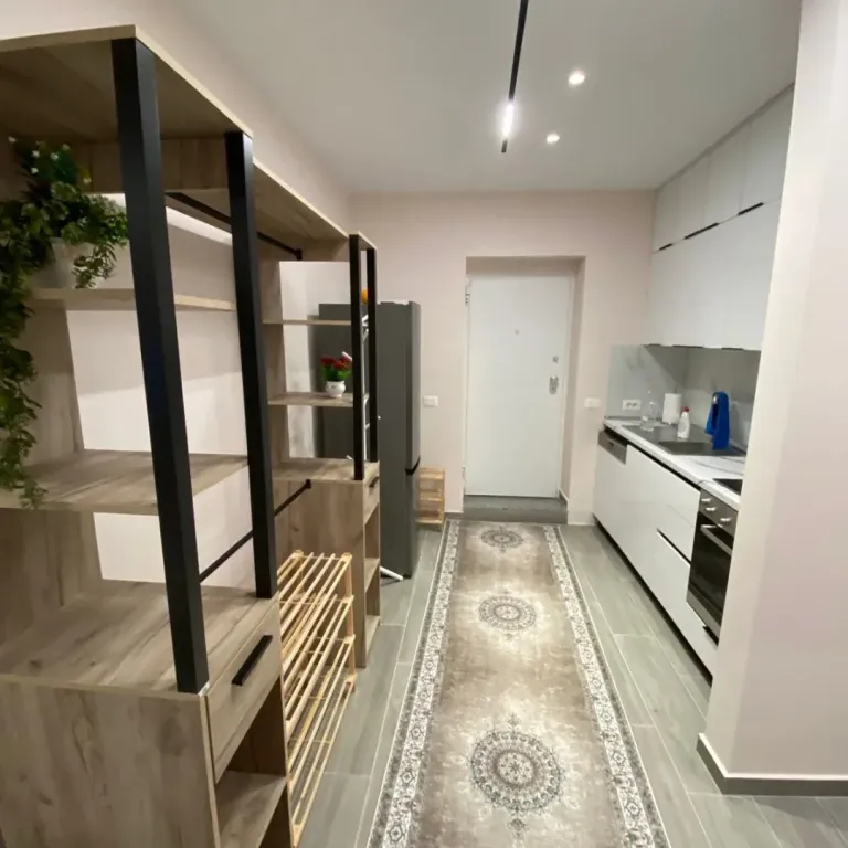 Apartment 1+1 for rent at (Pireu Restaurant) Elbasan Street