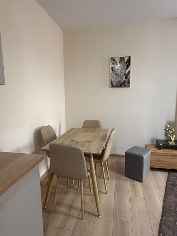 Apartment 1+1 for rent Near Delijorgji