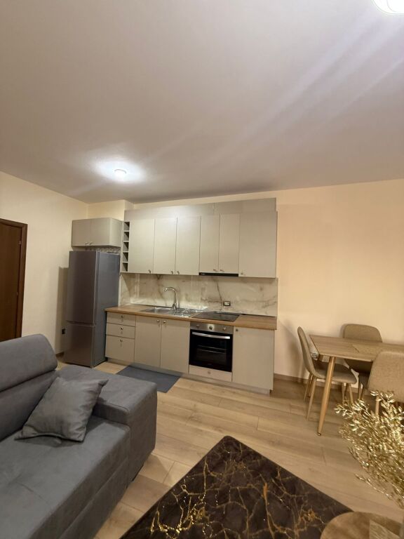 Apartment 1+1 for rent Near Delijorgji