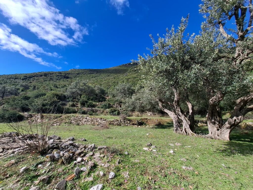SUPER Land for Sale 600 m2 📍In Borsh - At the gas station (River Road) 🔥 (72,000 EURO) (super price)🔥100 m from the Main road entering the gas station in Borsh.