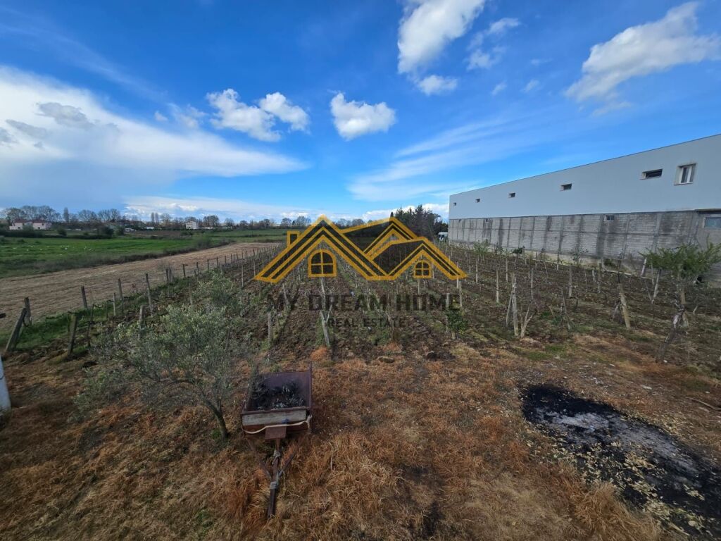 Terreno agricolo in vendita a Shkafan, Baia di Lalzi