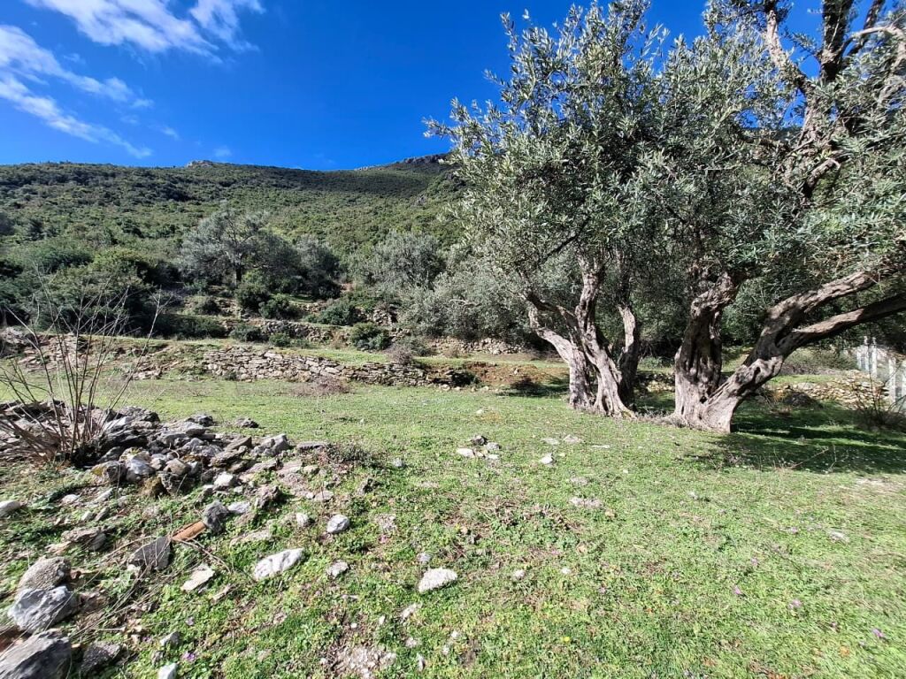 SUPER Land for Sale 600 m2 📍In Borsh - At the gas station (River Road) 🔥 (72,000 EURO) (super price)🔥100 m from the Main road entering the gas station in Borsh.