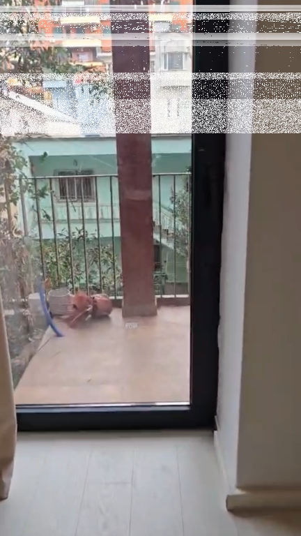 Ambjent Biznesi, Rruga e Kavajes!