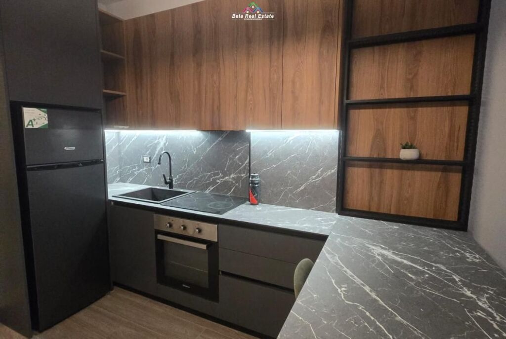 Appartamento In Affitto 1+1 A Astir (ID B2101596) Tirana