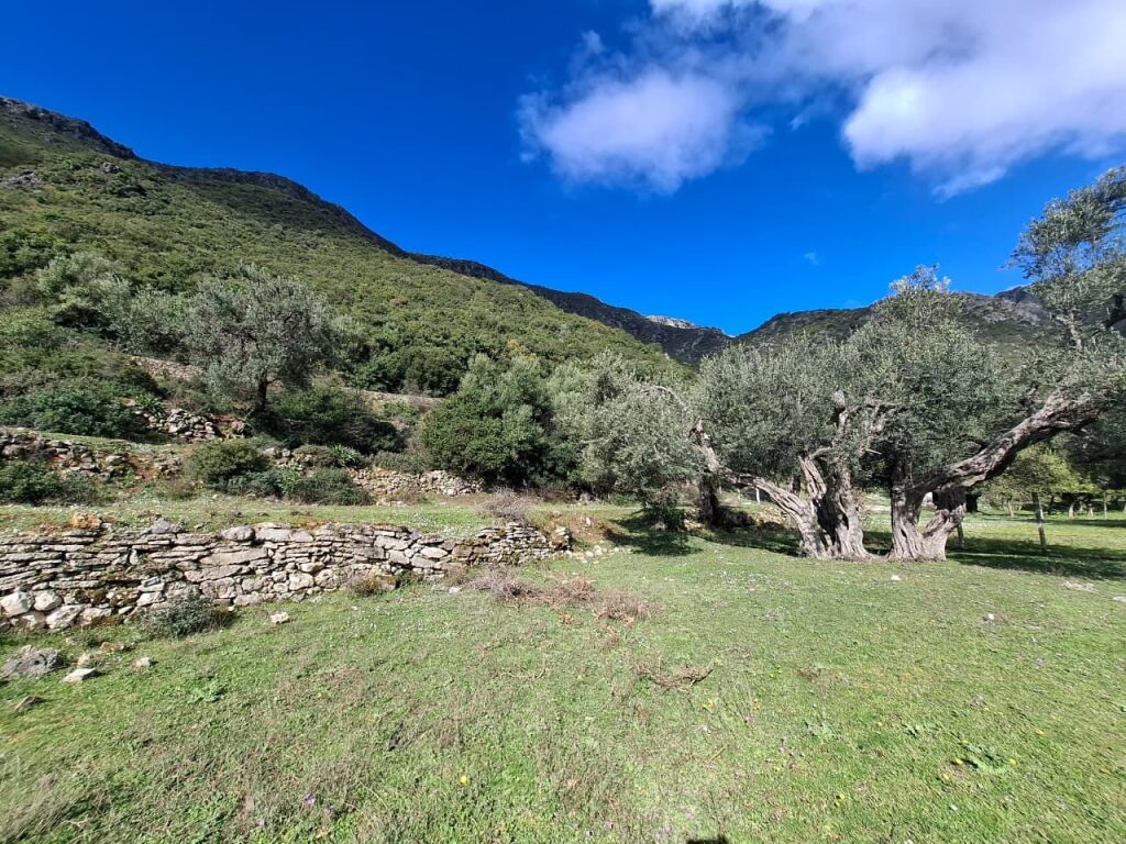 SUPER Land for Sale 600 m2 📍In Borsh - At the gas station (River Road) 🔥 (72,000 EURO) (super price)🔥100 m from the Main road entering the gas station in Borsh.