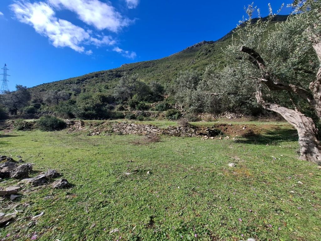 SUPER Land for Sale 600 m2 📍In Borsh - At the gas station (River Road) 🔥 (72,000 EURO) (super price)🔥100 m from the Main road entering the gas station in Borsh.