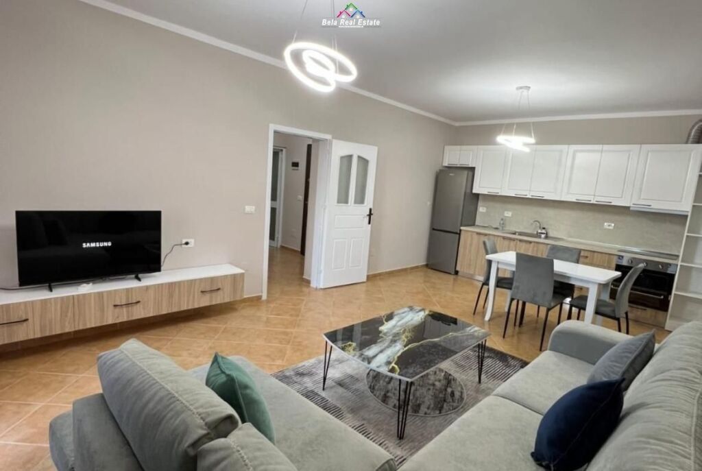 Appartamento In Affitto 1+1 A Jordan Misja (ID B2101607) Tirana