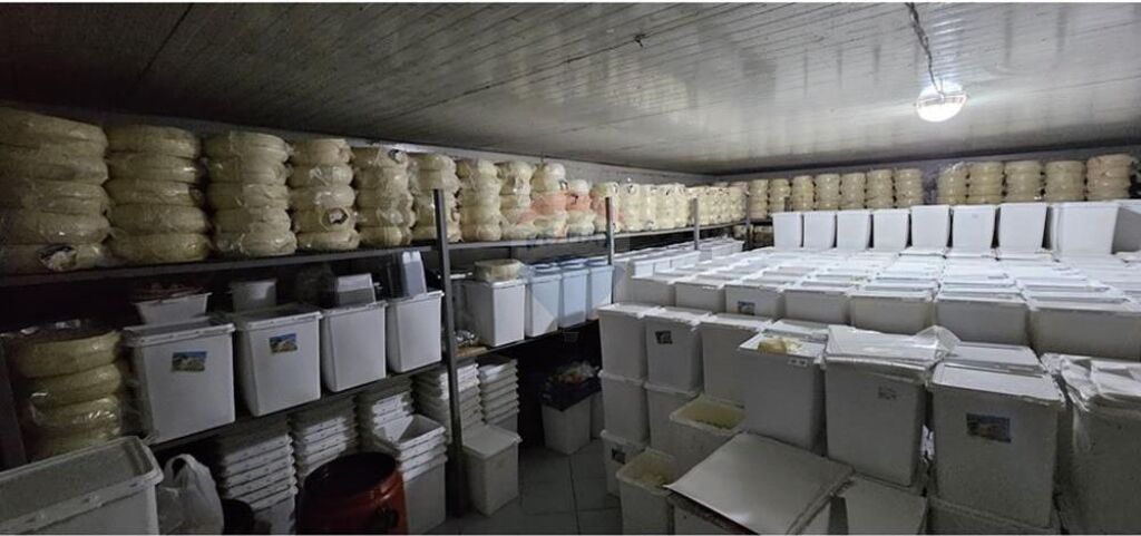 Shop - For Rent - Irfan Tomini Street, Tirana