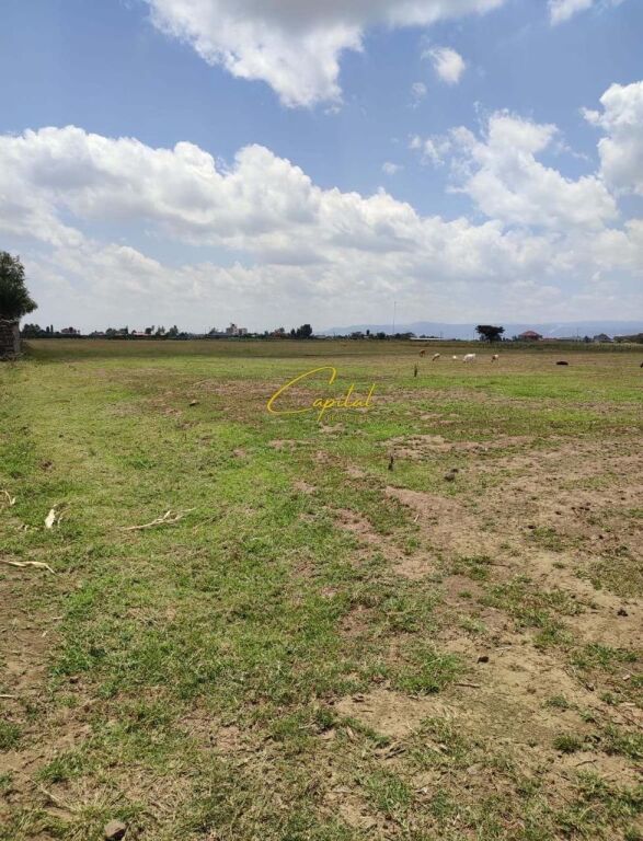 LAND FOR RENT 1,500 M2 MULLET 100,000 LEKE