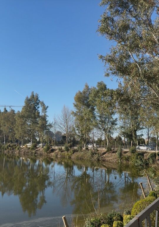 DRY LAKE, SELLING APARTMENT 1+1 165,000 €