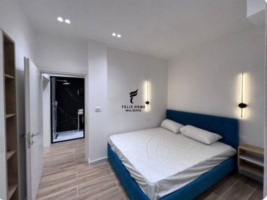 APARTMENT FOR RENT 1+1 PARIS COMMUNE 60,000 LEKE FH-67133