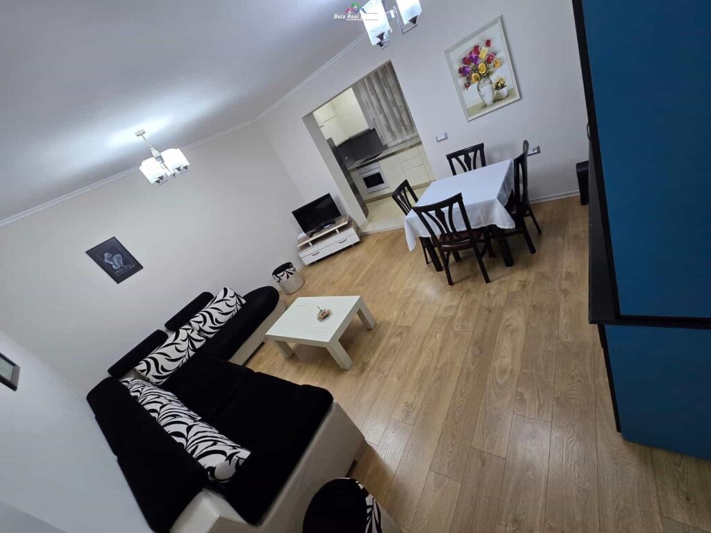 Appartamento In Affitto 1+1 A Vasil Shanto ( ID B211313) Tirana