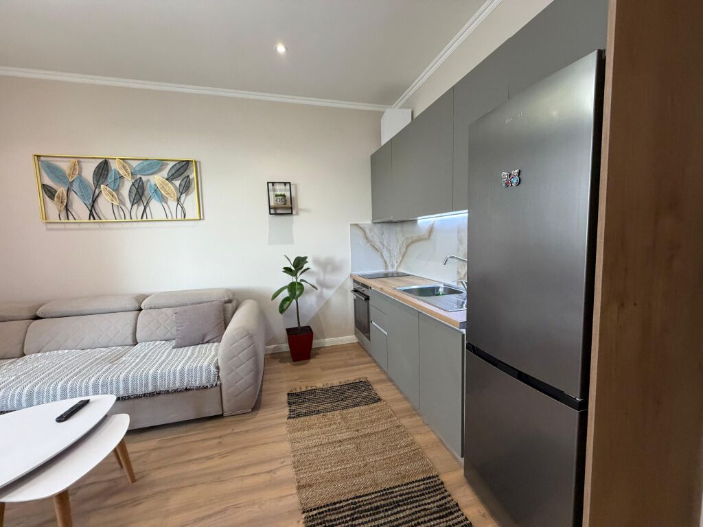 Apartament me qera 1+1 Perballe Deliorgjit