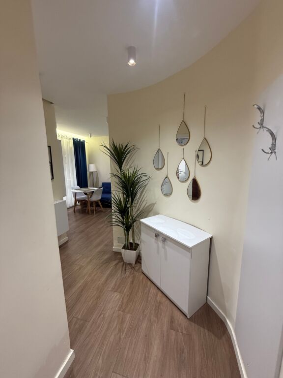 Apartament /garsoniere me qera tek mine peza 500 euro