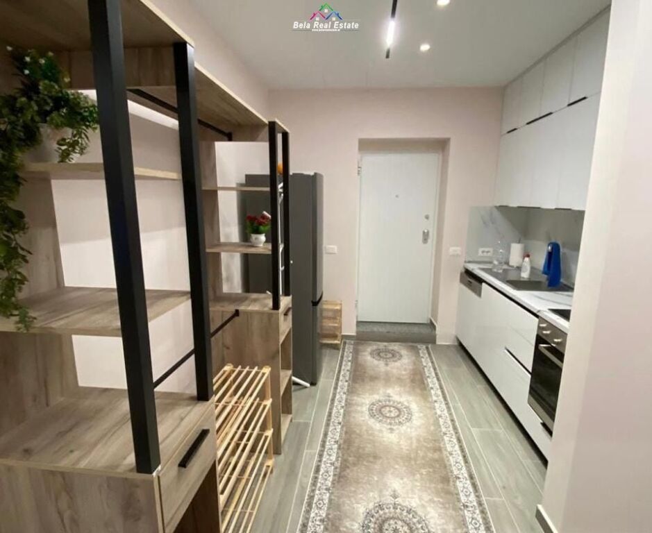 Appartamento In Affitto 1+1 In Via Elbasan (ID B211431) Tirana