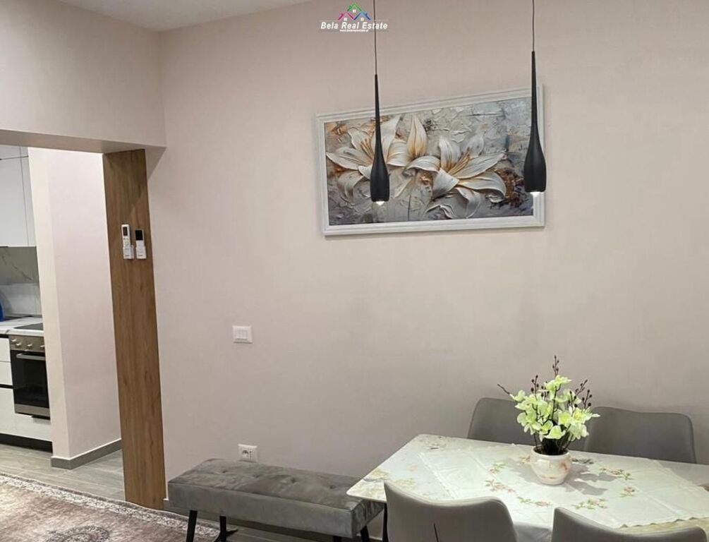 Appartamento In Affitto 1+1 In Via Elbasan (ID B211431) Tirana