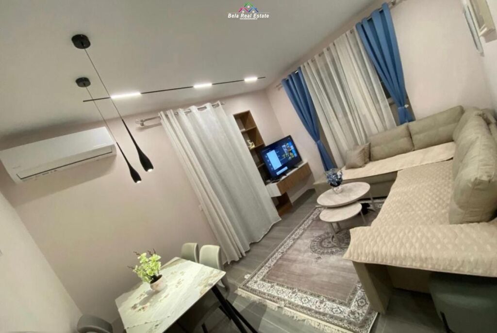 Appartamento In Affitto 1+1 In Via Elbasan (ID B211431) Tirana