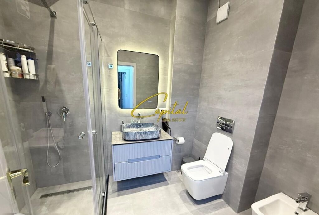 APARTMENT FOR RENT 1+1 FRESKU 55,000 LEKE