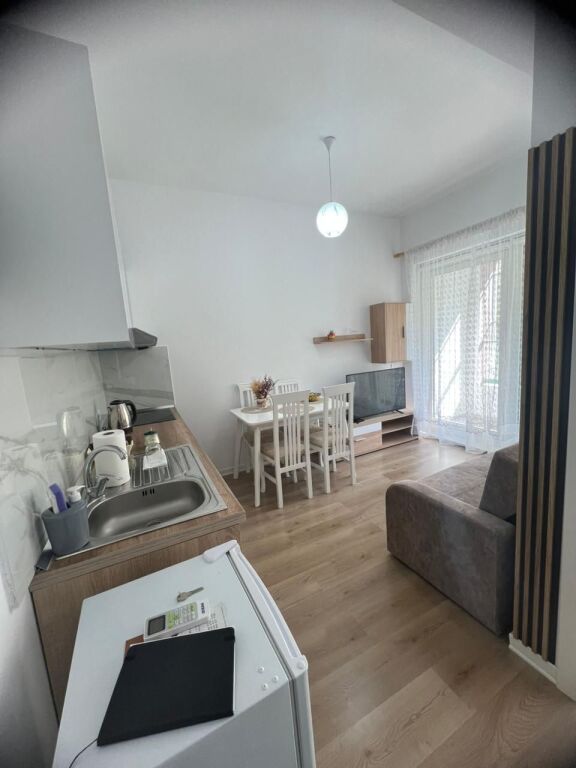 APARTMENT FOR RENT 1+1 IN ALI DEM