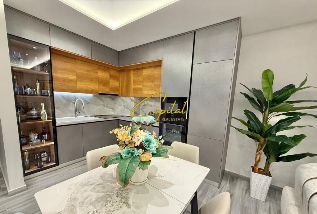 APARTMENT FOR RENT 1+1 FRESKU 55,000 LEKE