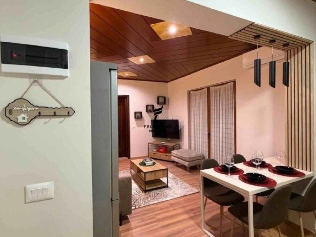 APARTMENT FOR RENT 1+1 KAVAJES STREET 55,000 LEKE FH-68084