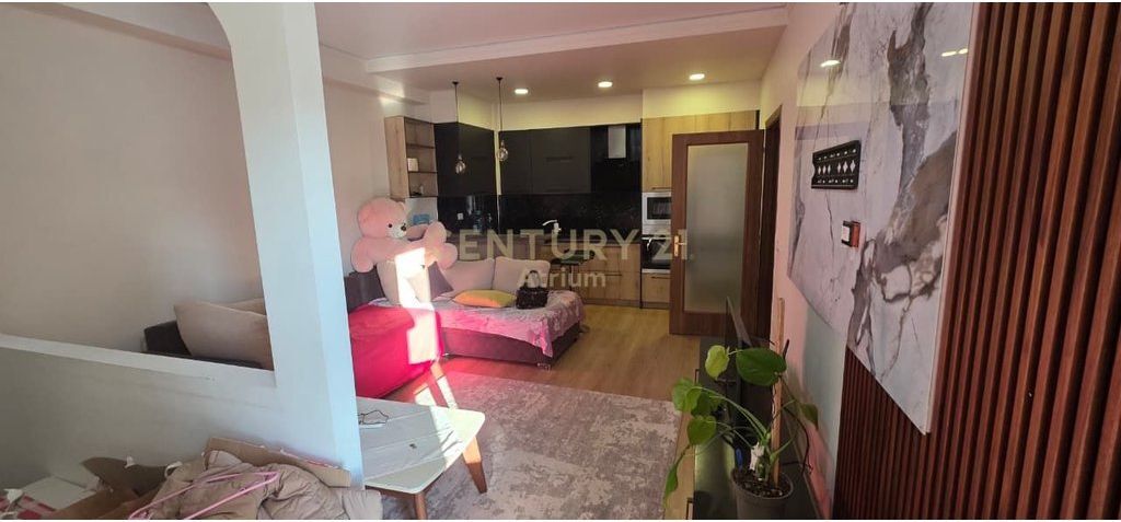 Apartment 1+1 for Rent in Porcelan, Building with Elevator