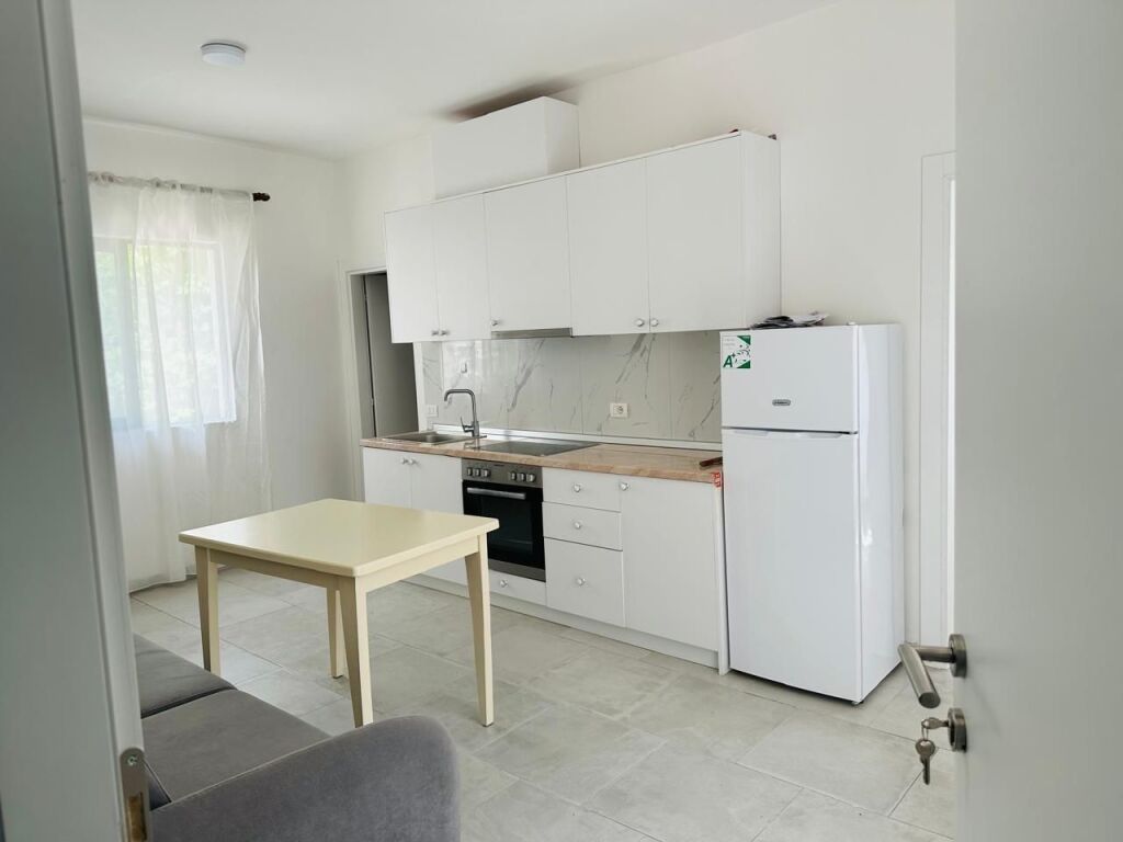 Apartment 1+1 for rent at 5 Maji near Big Market