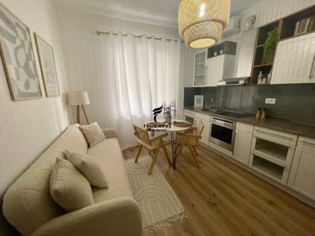 APARTMENT FOR RENT 1+1 TRAIN STATION 45,000 LEKE FH-68530
