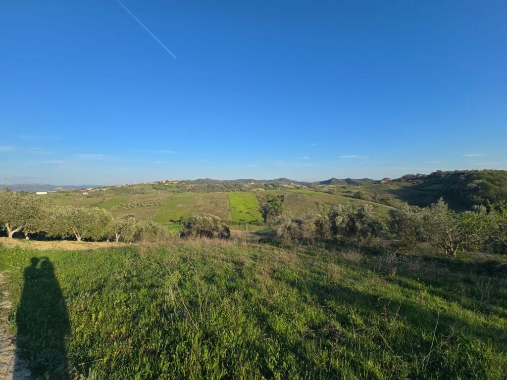 SUPER LAND OPPORTUNITY FOR SALE,  TREE OF LIFE,  SHKALLNUR