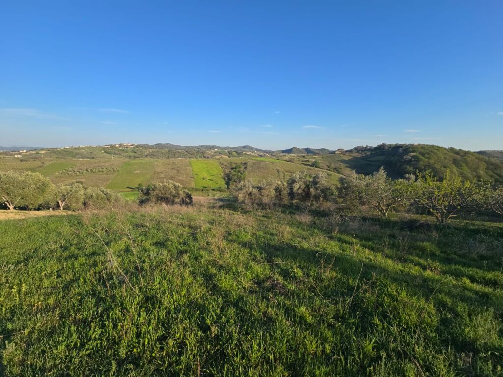 SUPER LAND OPPORTUNITY FOR SALE,  TREE OF LIFE,  SHKALLNUR