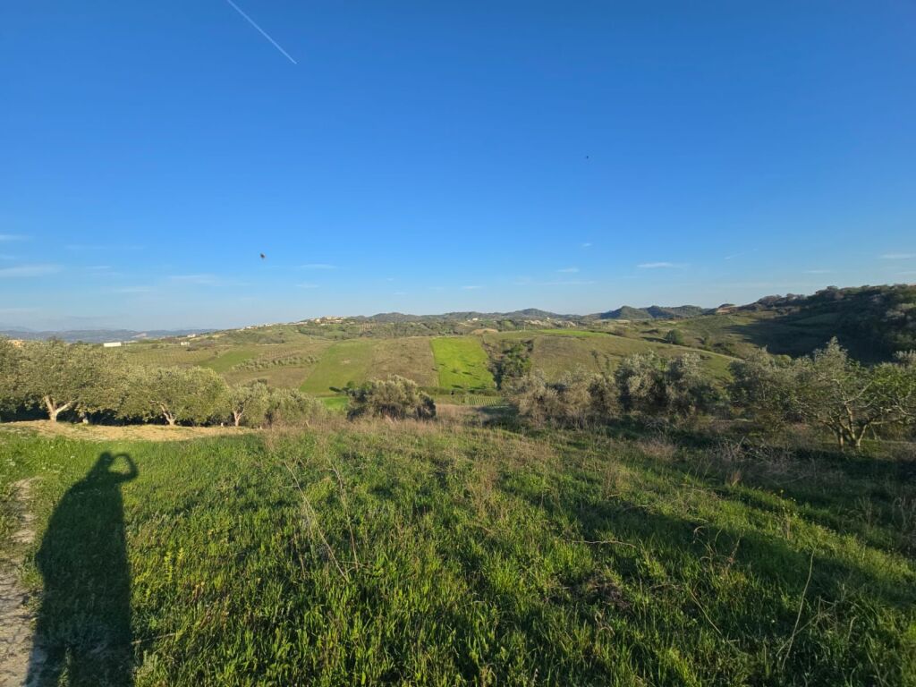 SUPER LAND OPPORTUNITY FOR SALE,  TREE OF LIFE,  SHKALLNUR
