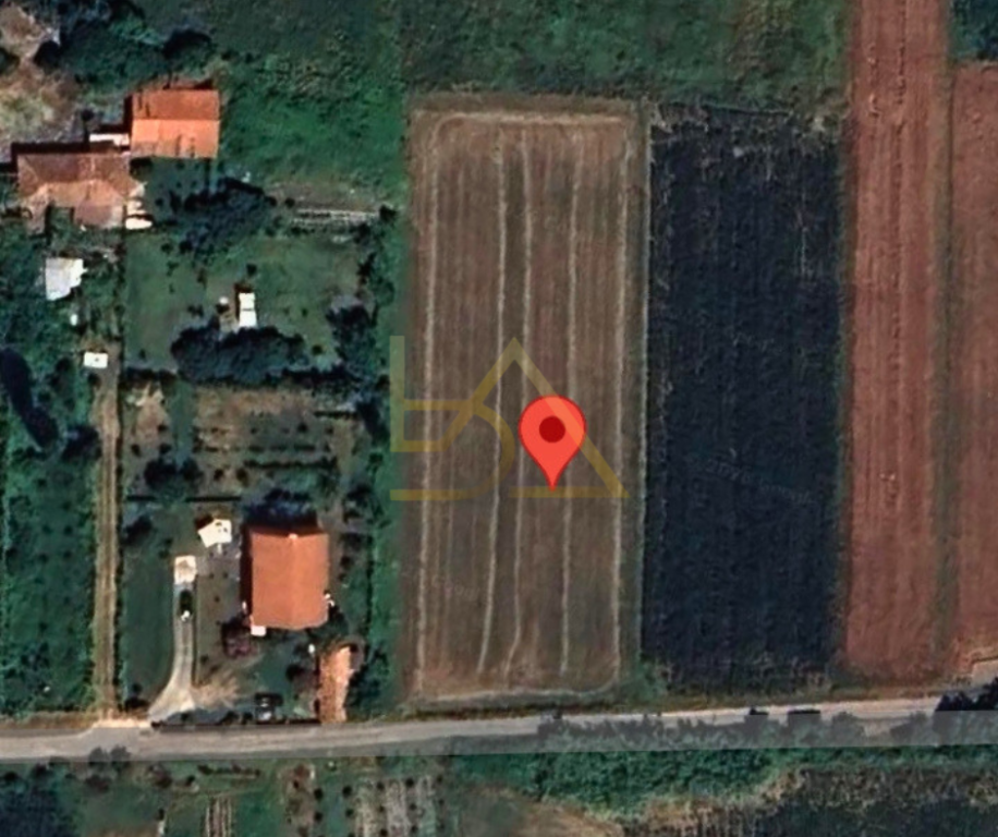 Shitet Tokë – Shënkoll, Lezhë