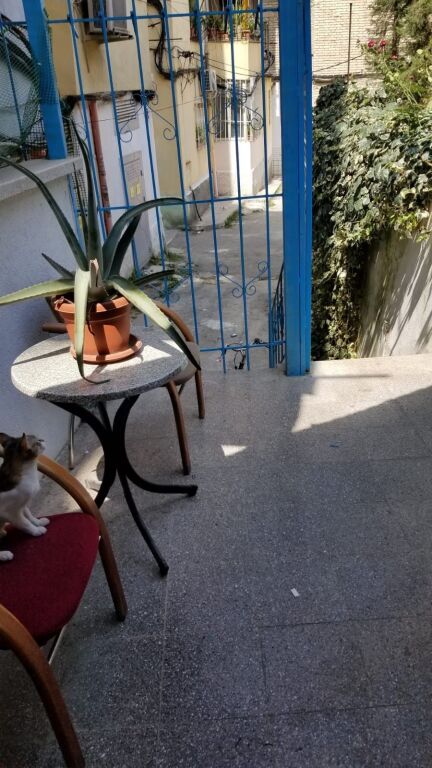 Entrance 1+1, on Mihal Grameno street, ballet school, 400 thousand leke
