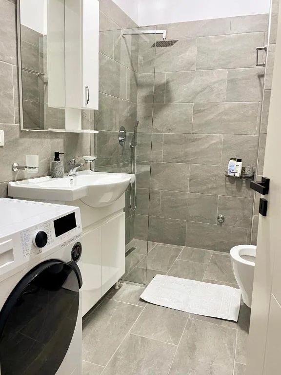 Vile Me Qera 1+1 Tek Zogu i Zi (ID BV22606) Tirane