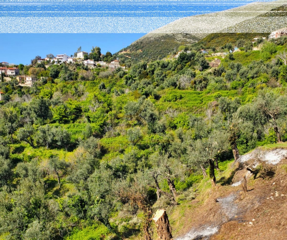 Terreno in Vendita – Lukovë, Sarandë