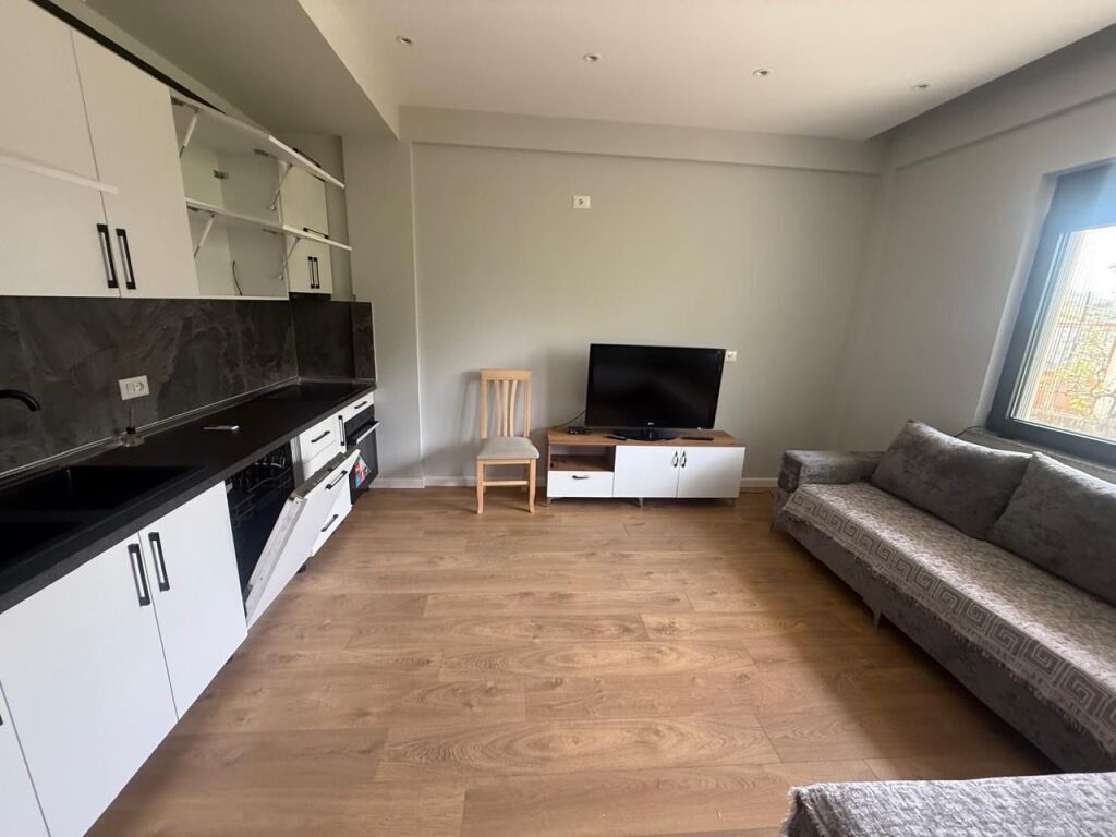 Apartament me qira 1+1 + Post Parking