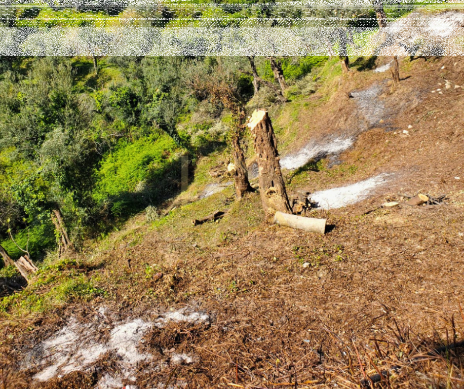 Terreno in Vendita – Lukovë, Sarandë