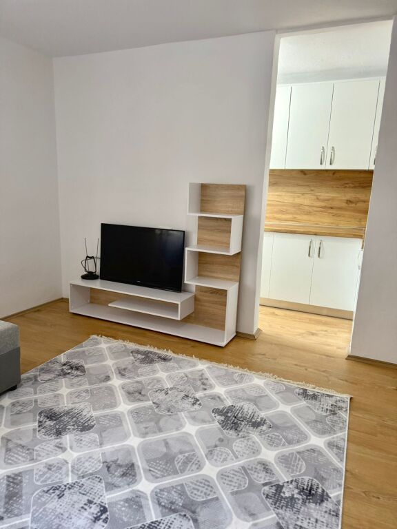 Appartamento in affitto 1+1 in Via Bardhyl (ID B211341) Tirana