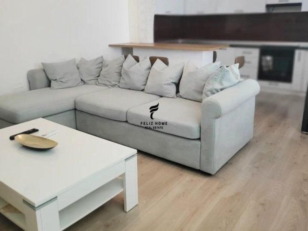 APPARTAMENTO IN AFFITTO 1+1 ALI DEMI 50.000 LEKE FH-69402
