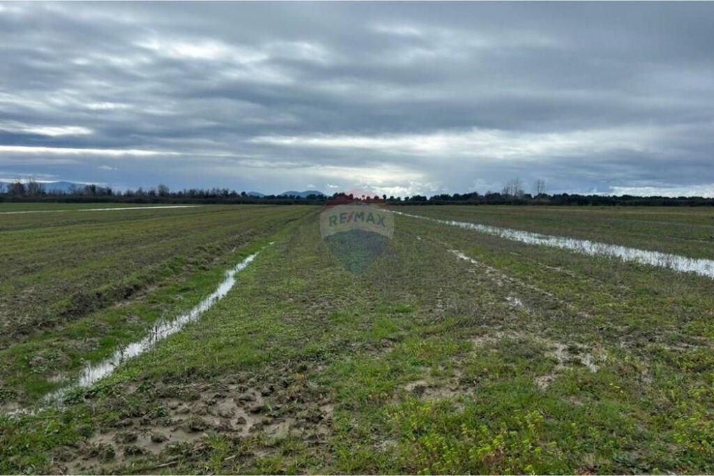 Agricultural Land for Sale – Poro, Vlorë
