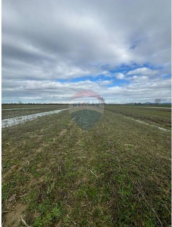 Agricultural Land for Sale – Poro, Vlorë