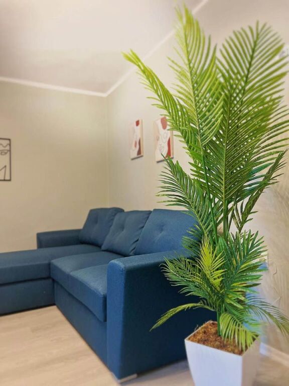 Apartment 1+1 for rent – Durrës Street