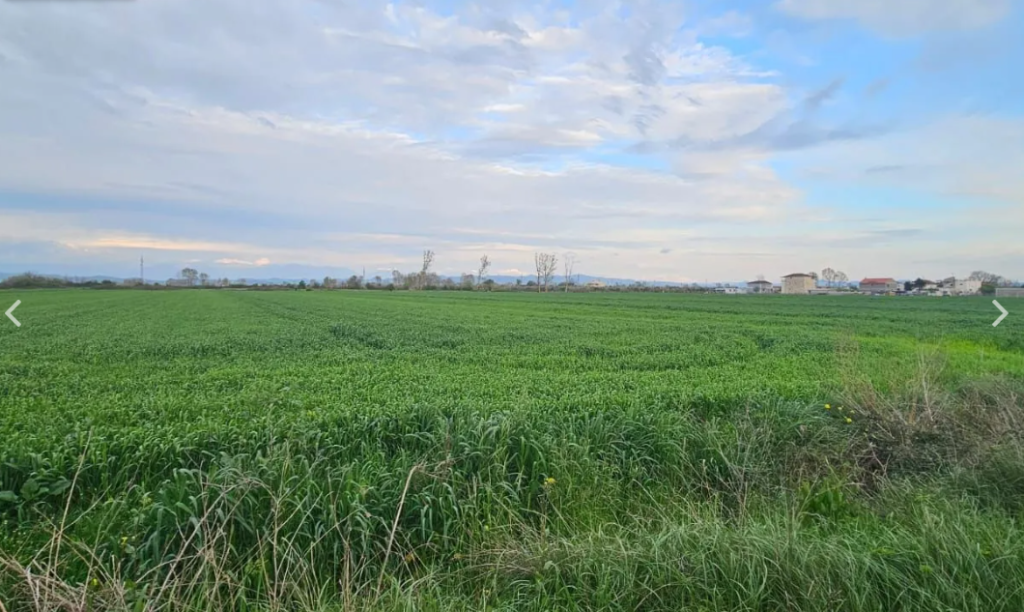 Terreno agricolo in vendita a Fllake
