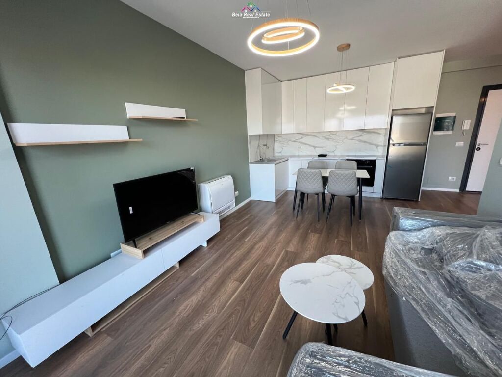 Apartament Me Qera 1+1 Tek Ish Dogana (ID B2101646) Tirane
